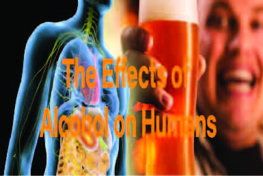 The Effects of Alcohol on Humans